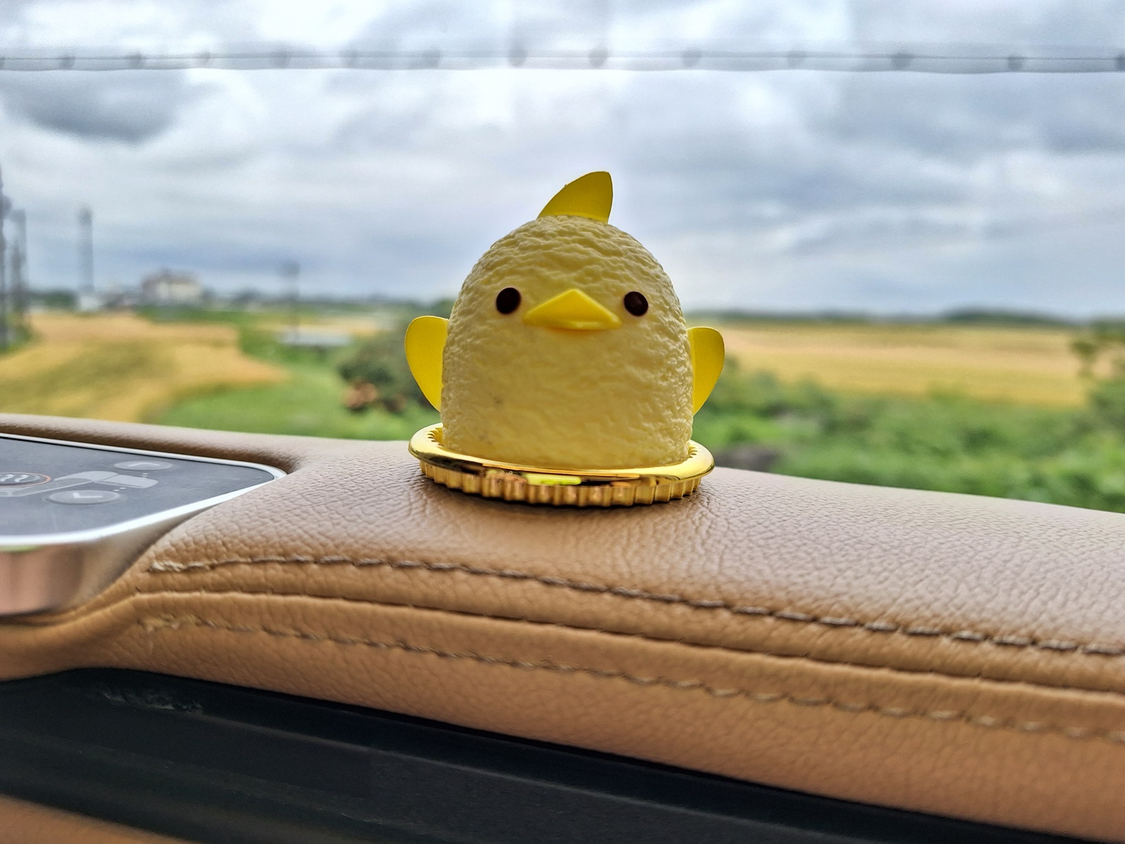 Nagoya Piyorin onderweg in de Hinotori trein