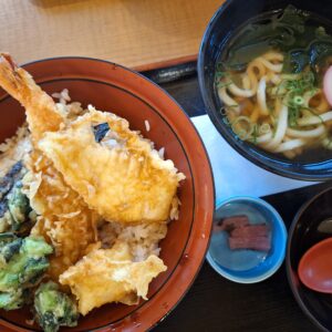 Foto van een ebi furai don en udon noodles