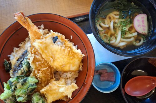 Foto van een ebi furai don en udon noodles